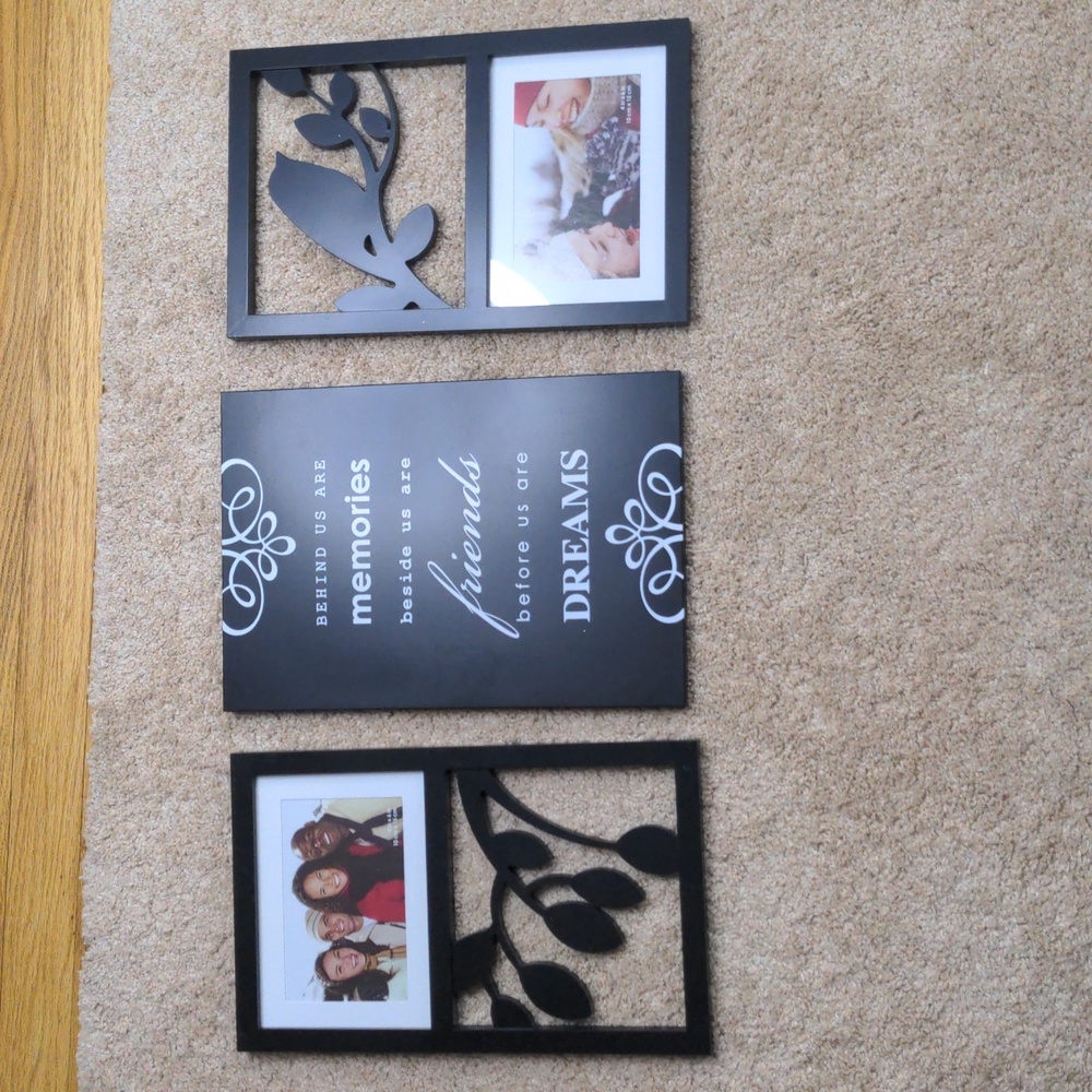 ❗LAST CHANCE❗3 Piece Picture Collage with bird 🕊️